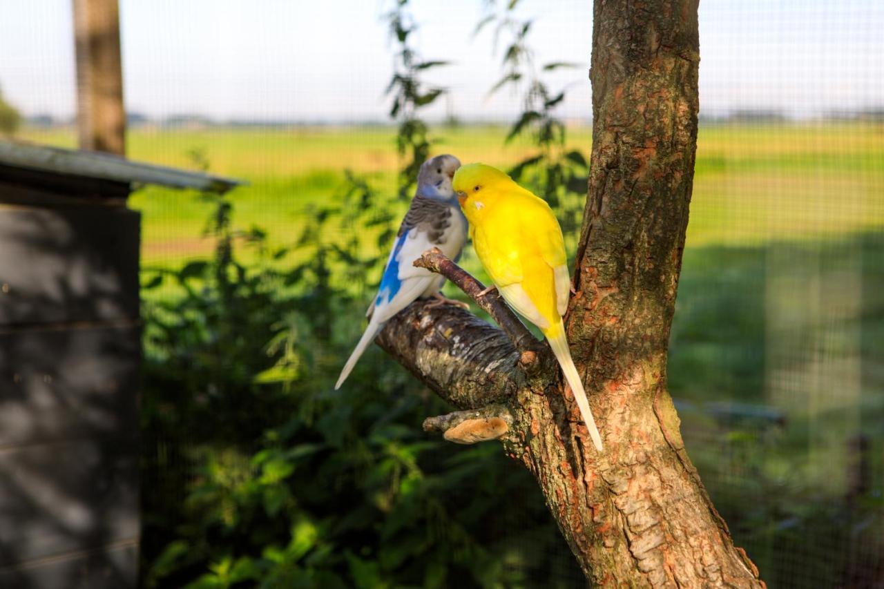 Het Groene Wout Goudriaan Esterno foto